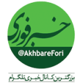 خبرفوری